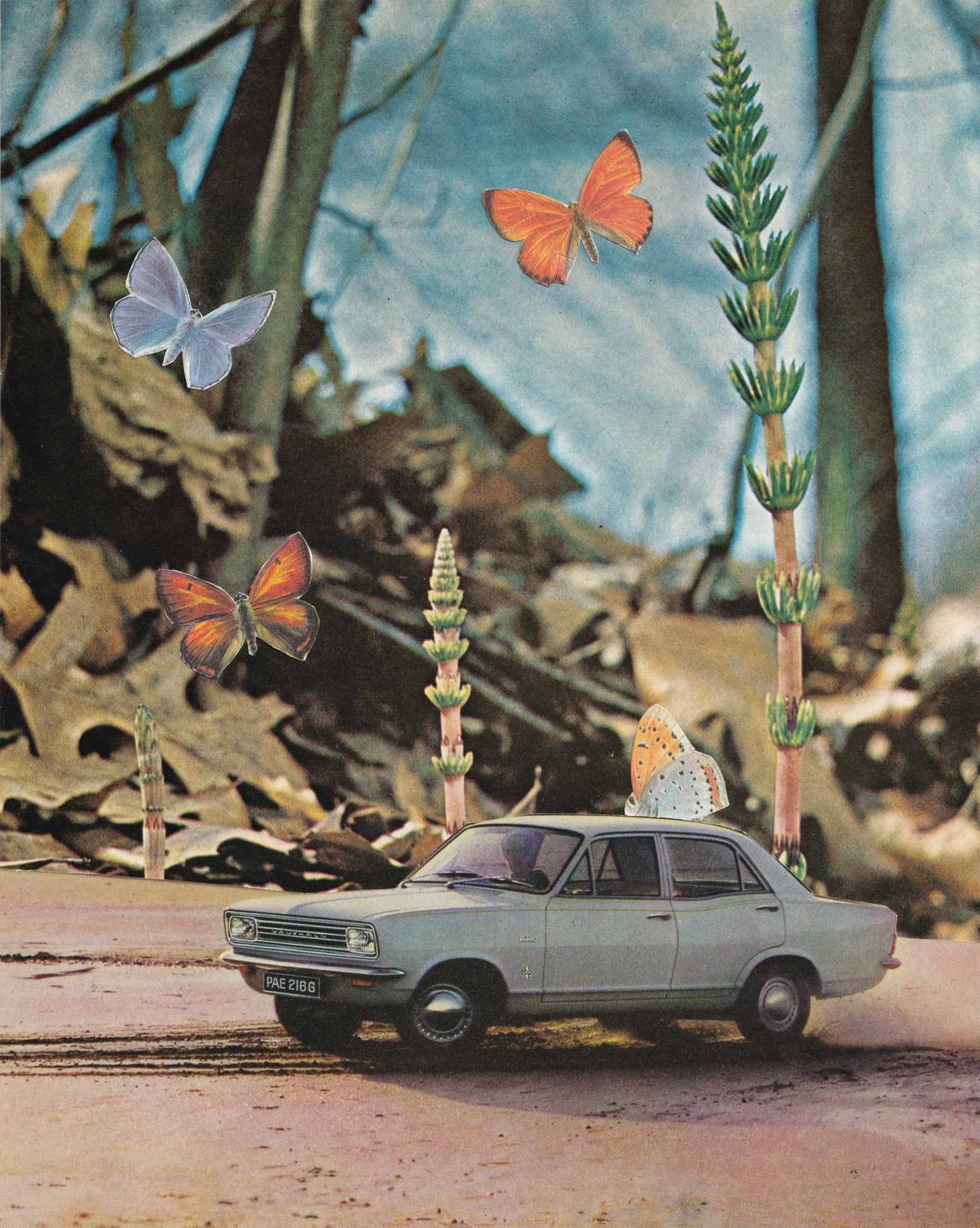 Road trip - 2026