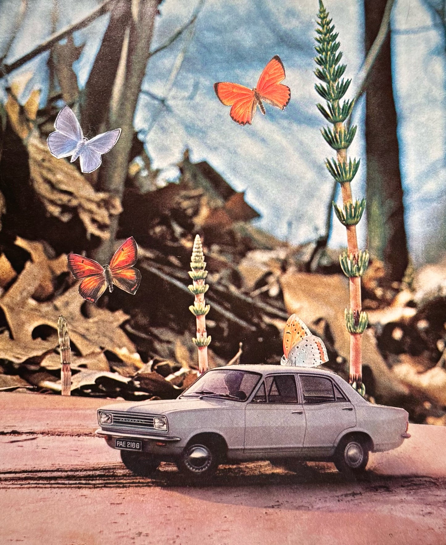 Medium collage art postcard - multiple designs